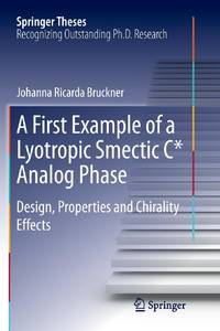 A First Example of a Lyotropic Smectic C* Analog Phase : Design, Properties and Chirality Effects