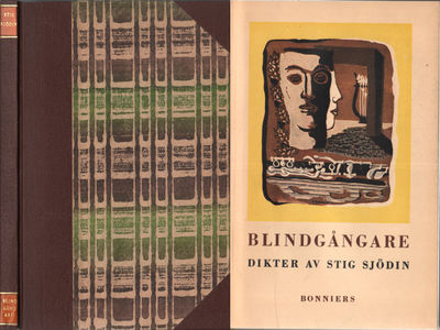 BLINDGÅNGARE.