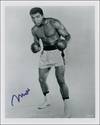 Muhammad Ali Signed Boxing Photo