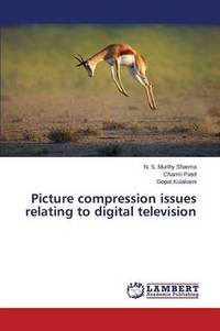 Picture Compression Issues Relating to Digital Television