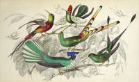 Hand Colored Copper Engraved Natural History Plate Of Hummingbirds, From Oliver Goldsmithâ��s A History Of The Earth And Animated Nature by Goldsmith, Oliver - 1856