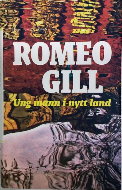 Ung mann i nytt land. Roman