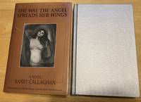 cover of The Way the Angel Spreads Her Wings