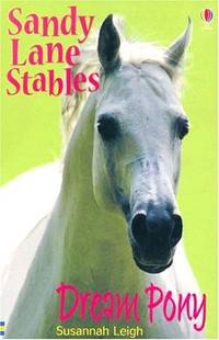 Dream Pony (Sandy Lane Stables)
