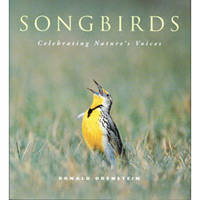 Songbirds: Celebrating Nature's Voices