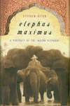 Elephas Maximus: A Portrait Of The Indian Elephant