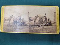 War Views. All the Live Stock Left on Mr. Gill's Plantation after the Battle of Gettysburg. No. 2398