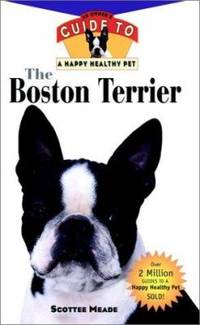 The Boston Terrier