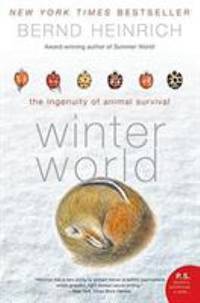 Winter World : The Ingenuity of Animal Survival