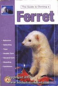 The guide to Owning a Ferret