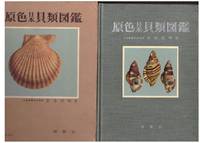 image of COLOURED ILLUSTRATIONS OF THE SHELLS OF JAPAN