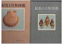 COLOURED ILLUSTRATIONS OF THE SHELLS OF JAPAN