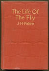 The Life Of The Fly