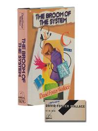 The Broom of the System