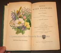 アンティークWILD  FLOWERS  by  John Ｅ. Sowerby British Wild Flowers. Illustrated By John E. Sowerby