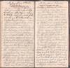 Manuscript journal of an 1884 trip...; (photo 0)