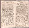 Manuscript journal of an 1884 trip...; (photo 2)