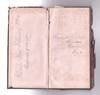 Manuscript journal of an 1884 trip...; (photo 3)