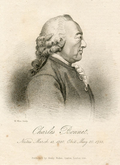 Engraved Portrait by W. Wise