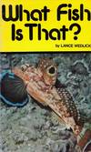 What Fish is That