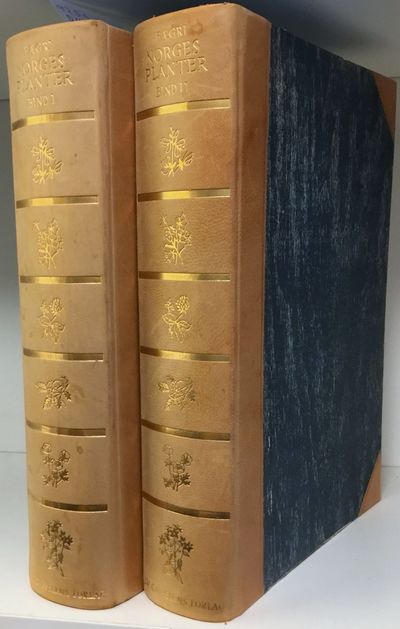 Norges planter. Blomster og trær i naturen. Med…