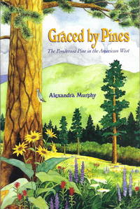 Graced by Pines: The Ponderosa Pine in the American West