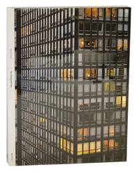 The Transparent City