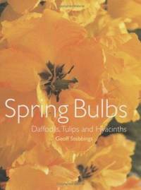 Spring Bulbs : Daffodils, Tulips and Hyacinths