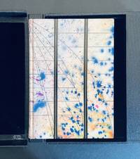 Church Poems [Design Binding]