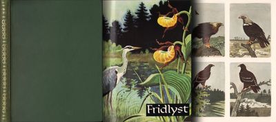 FRIDLYST.