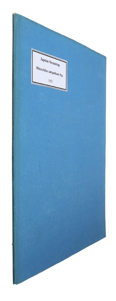 Rhizochilus antipathum Stp. en til Purpurafamilien hörende ny Slægt og Art af Snegle, der lever fastklæbet paa Grenene af Antipathesbuske. (Offprint from "Det Kgl. Danske Videnskabernes Selskabs Skrifter"). (photo 2)