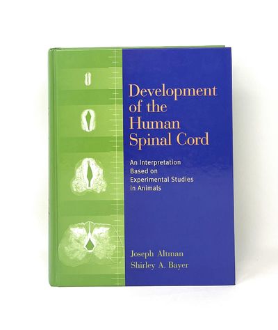 Development of the Human Spinal Cord: An Interpretation Based on Experimental Studies in Animals