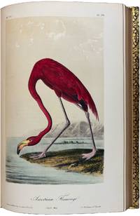 The Birds of America, from Drawings made in the United States and Their Territories