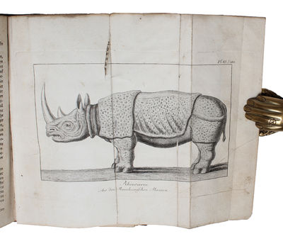 Reisen zur Entdeckung der Quellen des Nils in den Jahren 1768. 1769. 1770. 1771. 1772. und 1773. in fünf Bänden. Ins teutsche übersetzt von J.J. Volkmann und mit einer Vorrede und Anmerkungen versehen von Johann Friedrich Blumenbach. 5 Bde. (photo 3)
