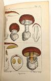 Histoire Naturelle de Buffon,...; (photo 3)