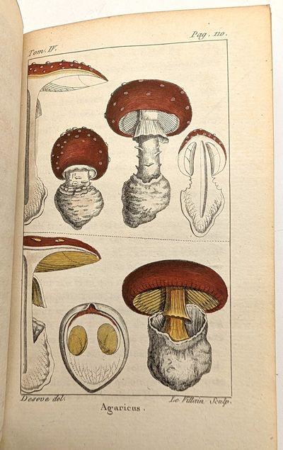 Histoire Naturelle de Buffon,...; (photo 3)