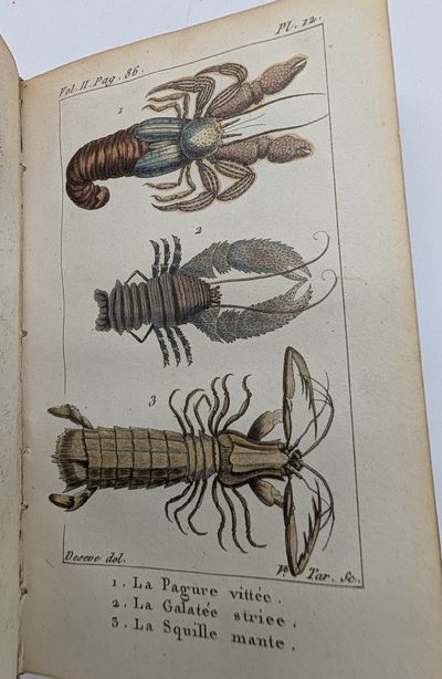 Histoire Naturelle de Buffon,...; (photo 9)