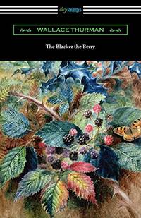 The Blacker the Berry by Wallace Thurman