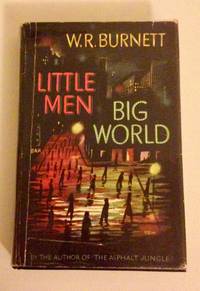 cover of Little Men Big World