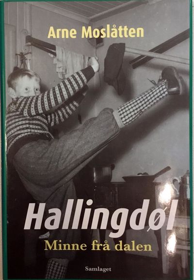 Hallingdøl. Minne frå dalen