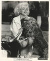 MARILYN MONROE | SOMETHING'S GOT TO GIVE (1962) Rare scene photo