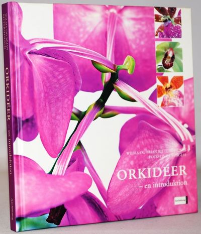 Orkideer - en introduktion.