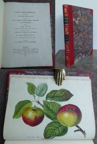 POMONA HEREFORDIENSIS, containing coloured engravings of OLD CIDER and PERRY FRUITS of Herefordshire. With such New Fruits as have been found to possess superior excellence. by Thomas Andrew. President of the Horticultural Society of London.: KNIGHT - First Edition - from Roger Middleton (SKU: 31926)