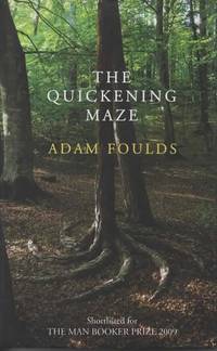 cover of The Quickening Maze