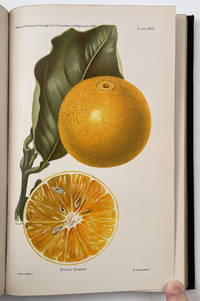 books on sale from oldimprints.com