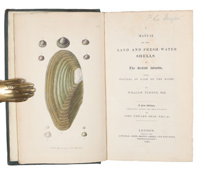 A Manual of the Land and Fresh-Water Shells of the British Islands, with Figures of each of the Kinds. A New Edition throughly revised and much enlarged by John Edward Gray. (photo 2)