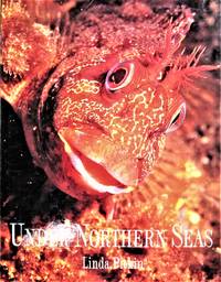 image of Under Northern Seas