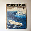 Animal Babies