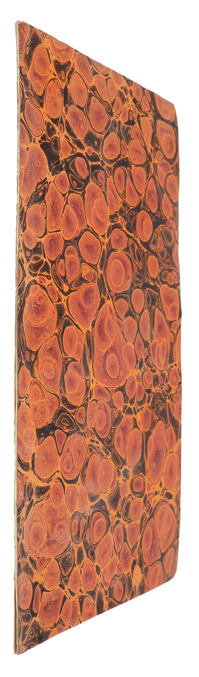 Rön. Om Coccus aguaticus. Lin. Faun. Suec. n. 725. (photo 2)