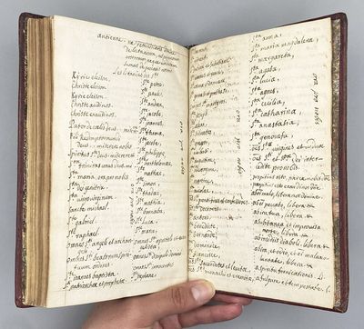 Psalterivm Davidis; (photo 4)